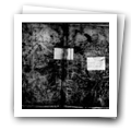 Digital representation thumbnail
