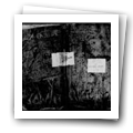 Digital representation thumbnail