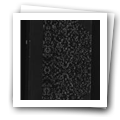 Digital representation thumbnail