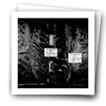Digital representation thumbnail