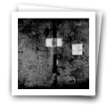 Digital representation thumbnail
