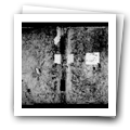 Digital representation thumbnail