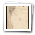 Digital representation thumbnail