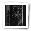 Digital representation thumbnail