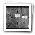 Digital representation thumbnail