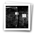 Digital representation thumbnail