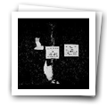 Digital representation thumbnail