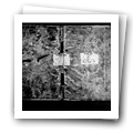 Digital representation thumbnail