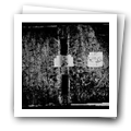 Digital representation thumbnail