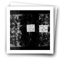 Digital representation thumbnail