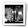 Digital representation thumbnail